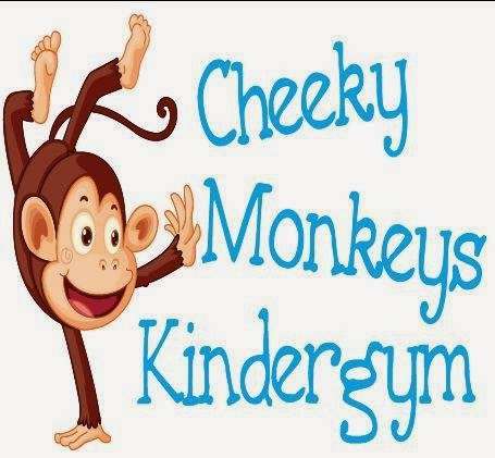 Photo: Cheeky Monkeys Kindergym
